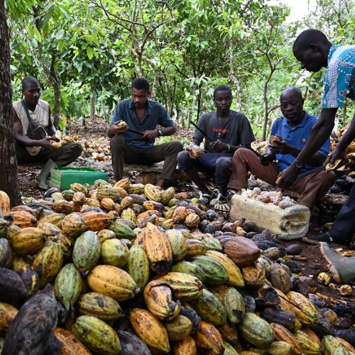 Côte d’Ivoire — 2020