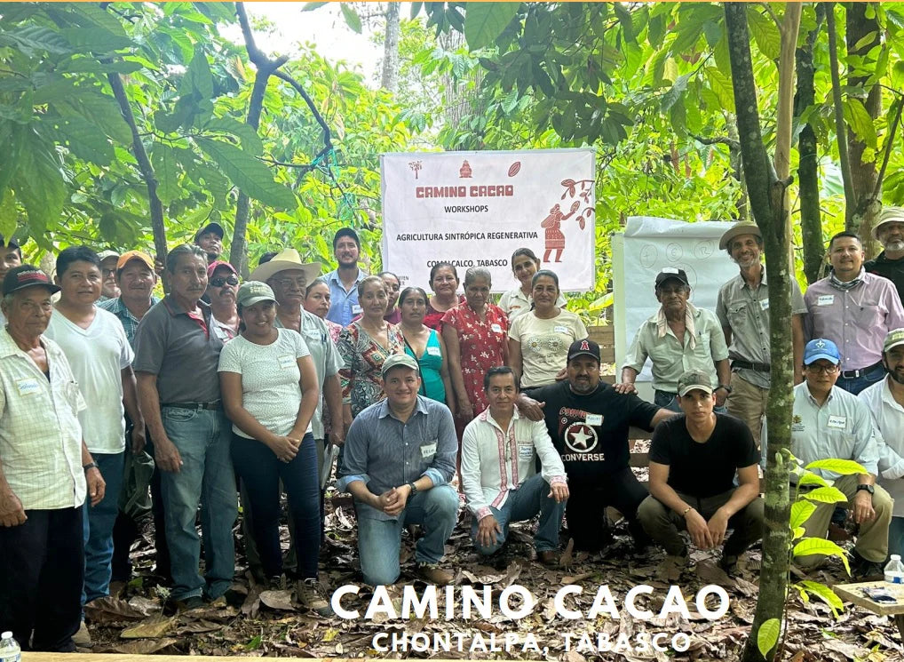 Renewing Farms Through Agroforestry