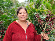 Small Batch Coffee- Guatemala