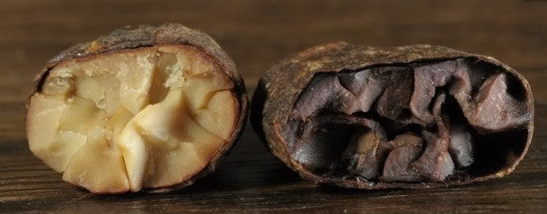 Pale Beans, Enduring Character
