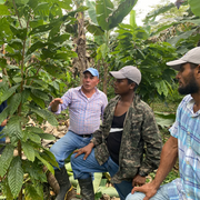 Honduras