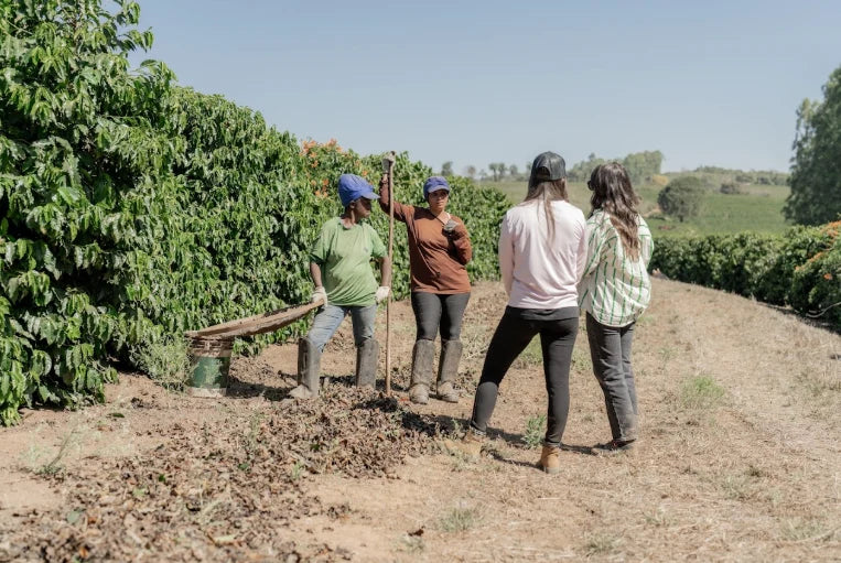 Better Cup Begins with a Sustainable Price.