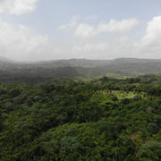 Dominican Republic