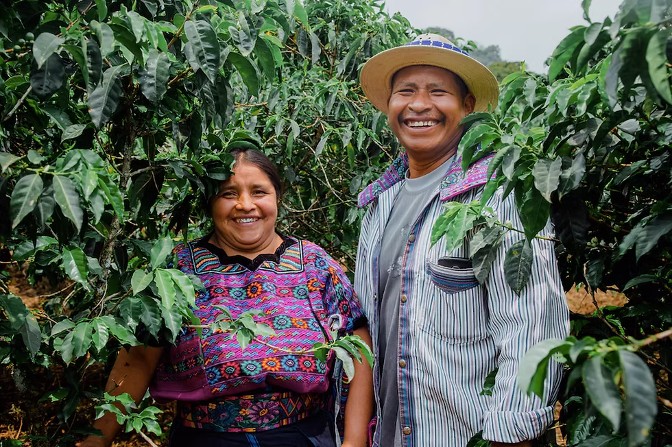 Small Batch Coffee- Brazil