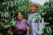 Small Batch Coffee- Brazil