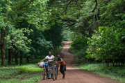 Côte d'Ivoire