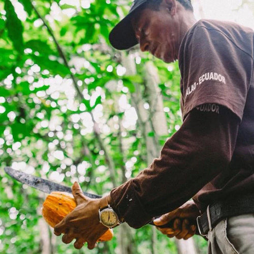 Ecuador — Camino Verde — 2026