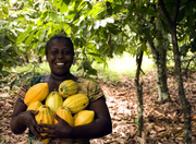 Côte d'Ivoire