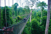 Côte d'Ivoire