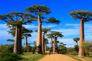 Madagascar