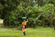 Uganda