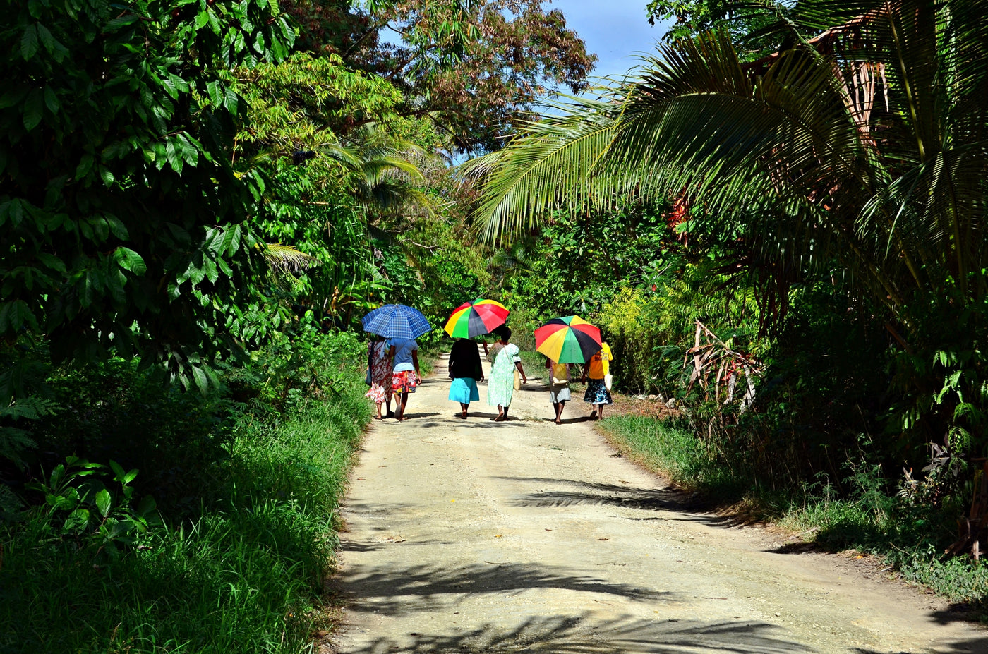 Cacao from a Remote Pacific Island