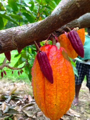 Vanuatu