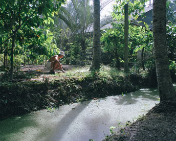Where Water and Orchard Meet