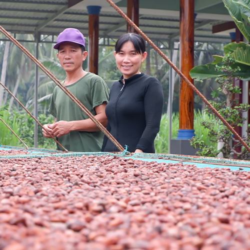 Many Small Harvests, One Shared Craft