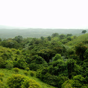 Dominican Republic